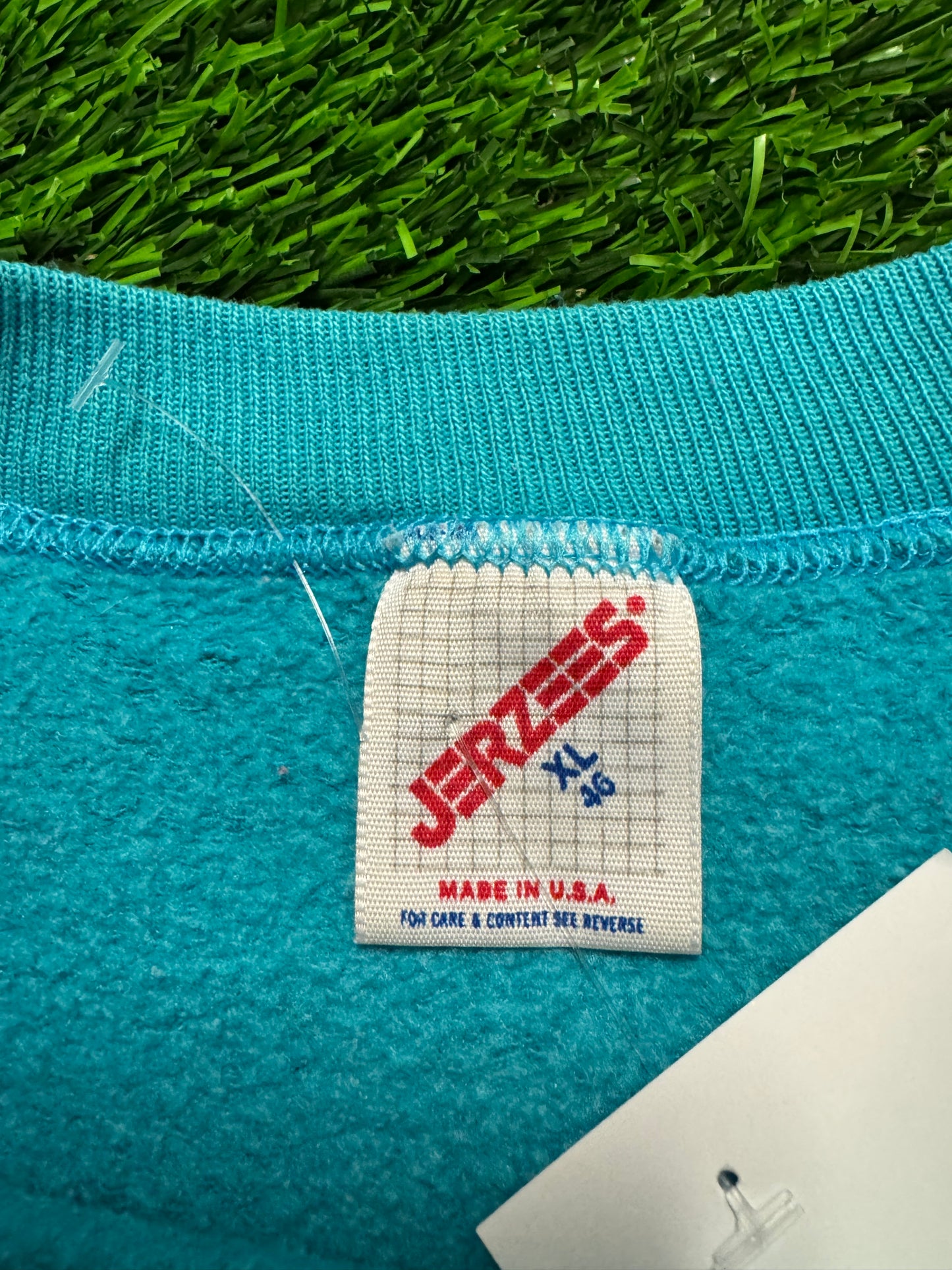 90s Charlotte Hornets Vintage Mascot Logo NBA Crewneck (L)