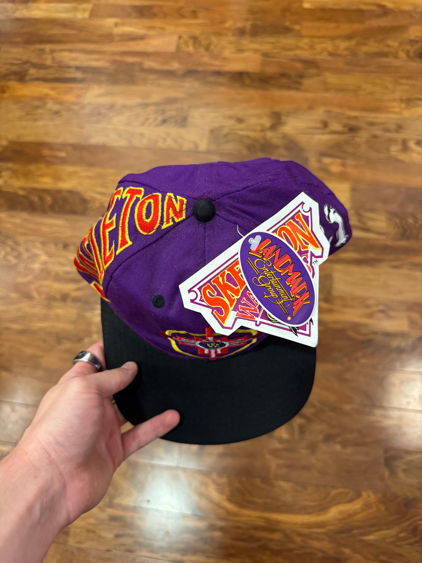 1996 Skeleton Warriors Embroidered Snapback Hat (OS)
