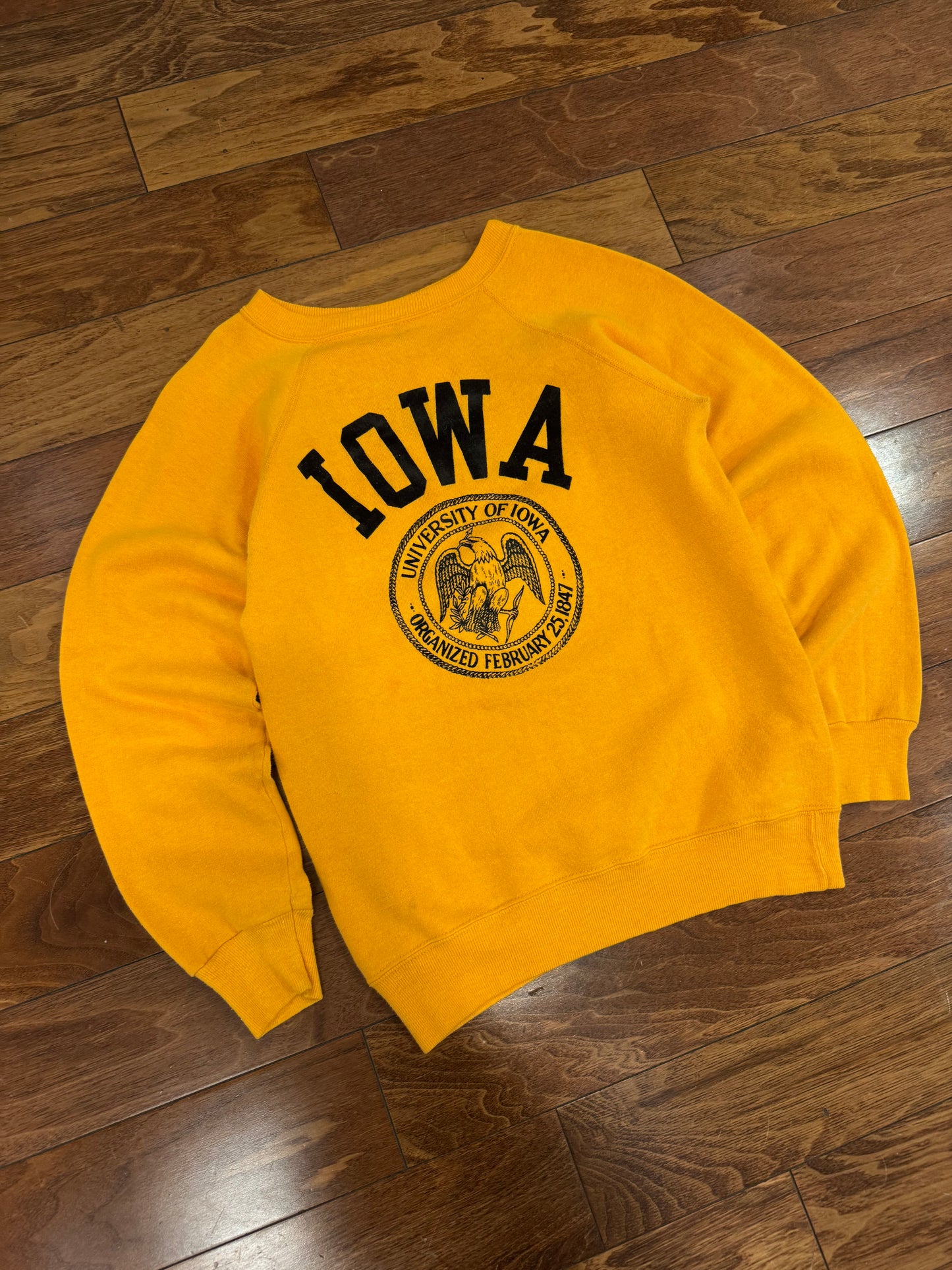70s University Of Iowa Champion Vintage Crewneck (S)