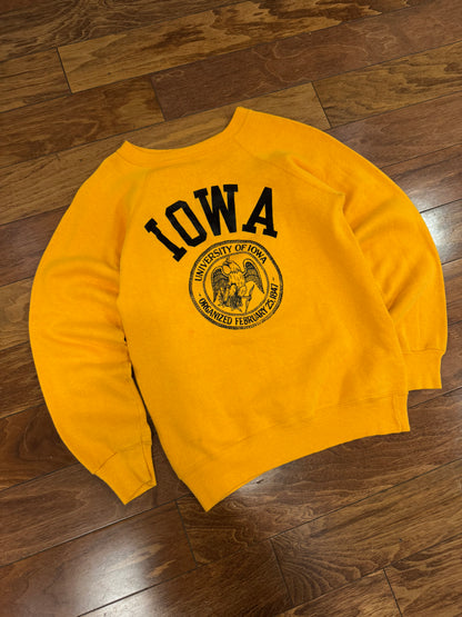 70s University Of Iowa Champion Vintage Crewneck (S)