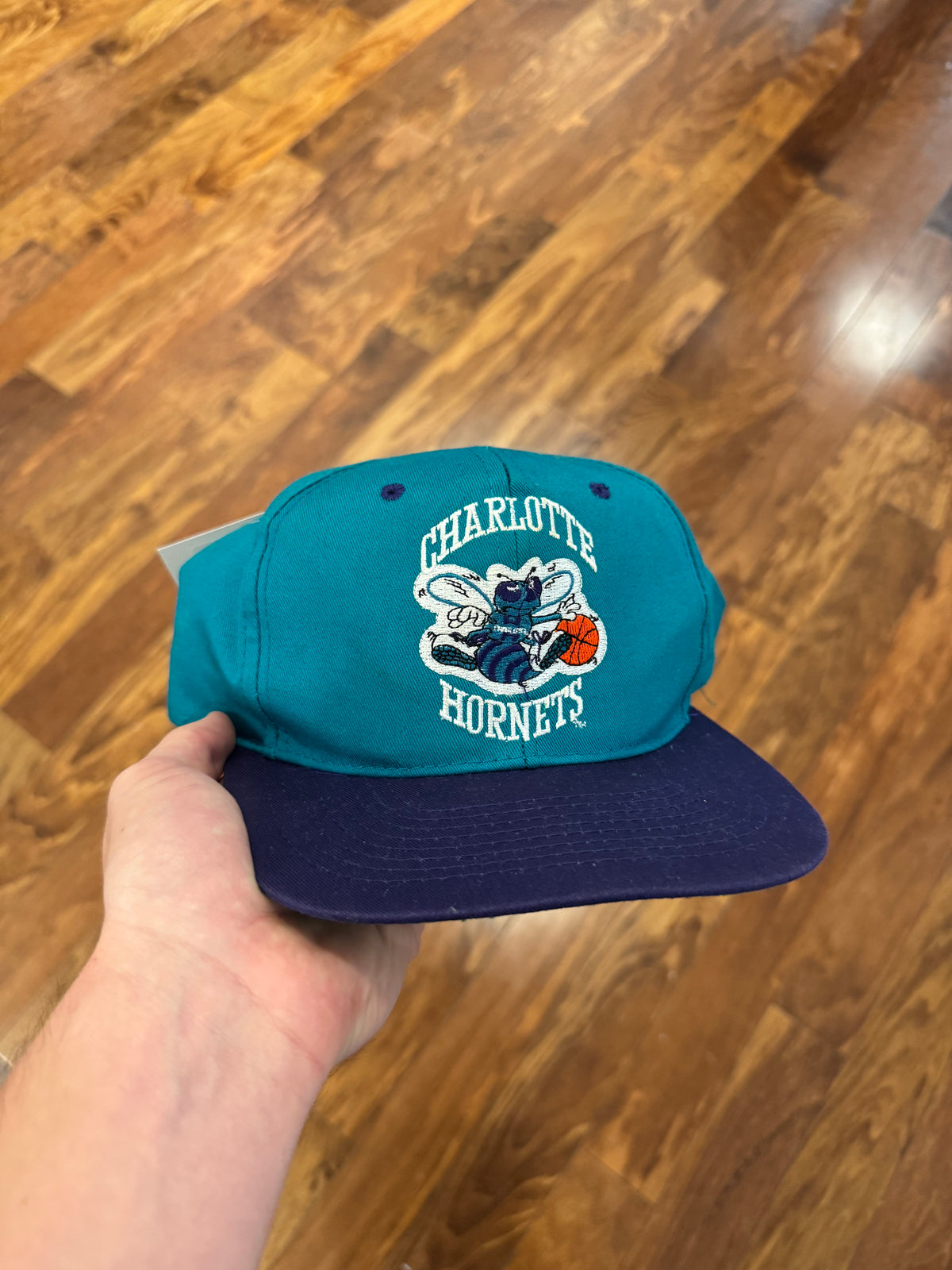 90s Charlotte Hornets Teal/Purple NBA Hat (OS)