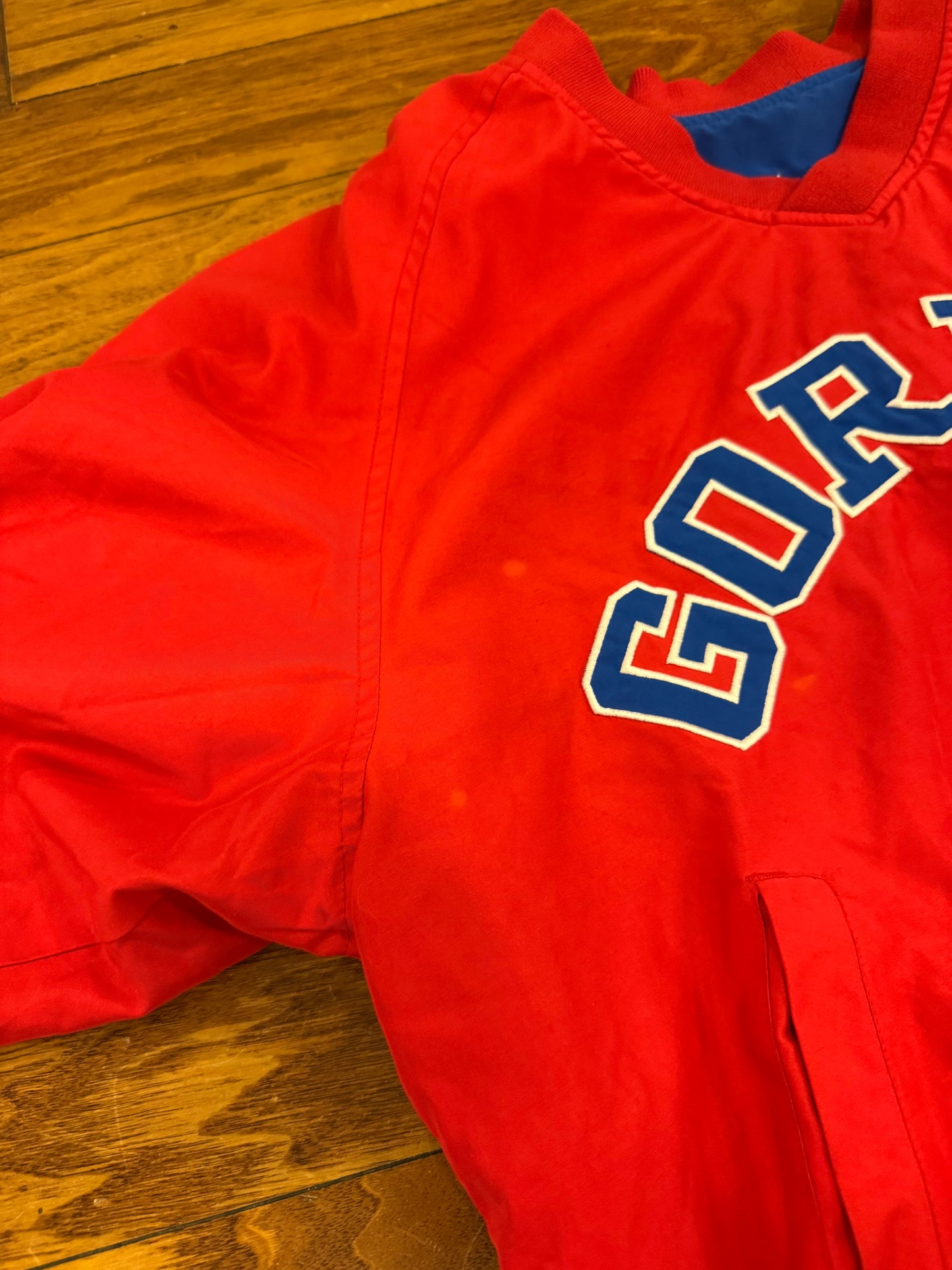 90s Jeff Gordon Nascar Reversible Windbreaker (L)