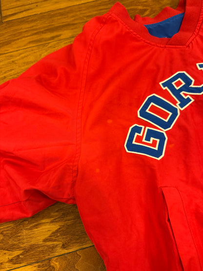 90s Jeff Gordon Nascar Reversible Windbreaker (L)