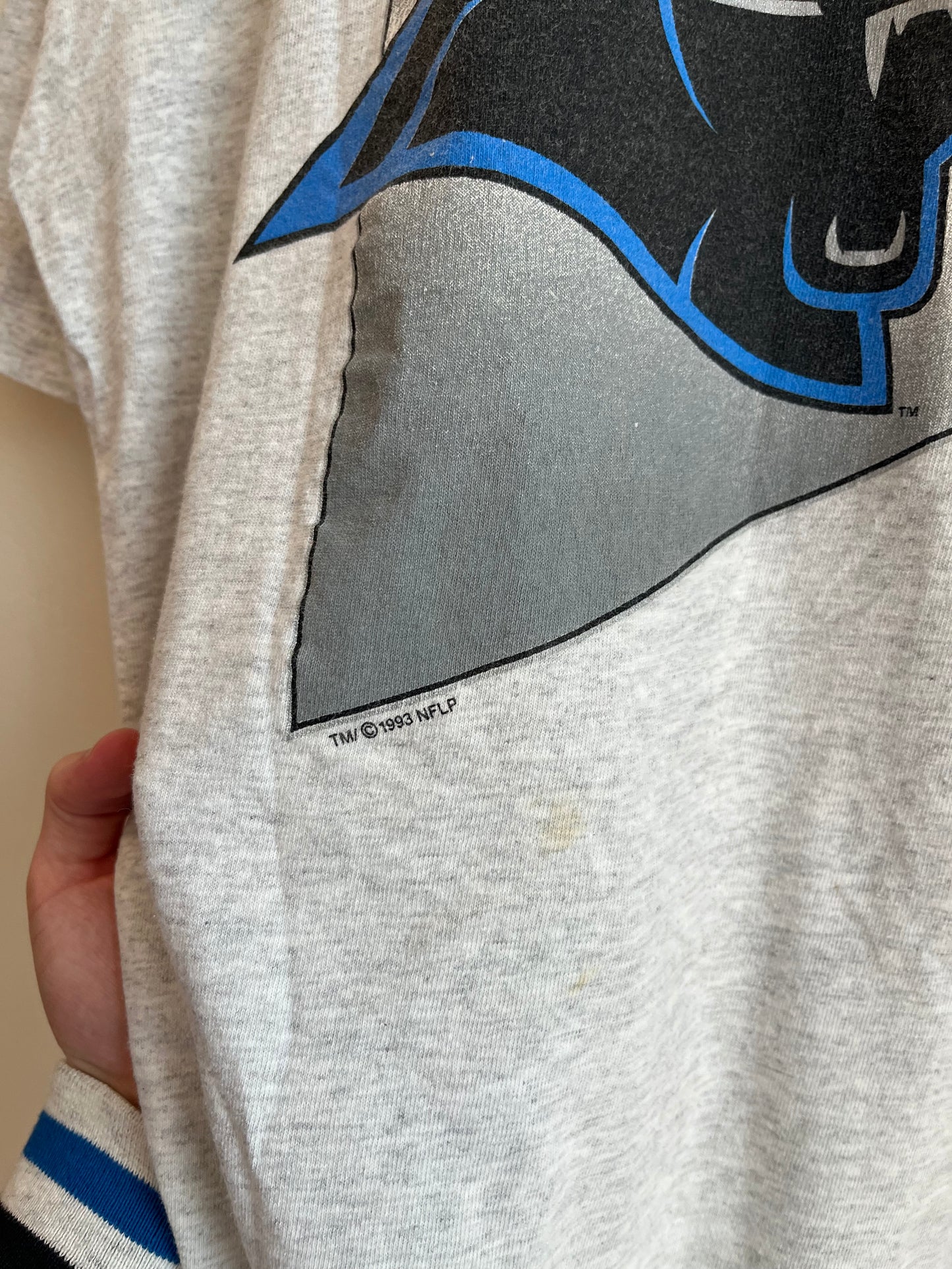 1993 Carolina Panthers Starter Vertical Spell Out Tee (L)