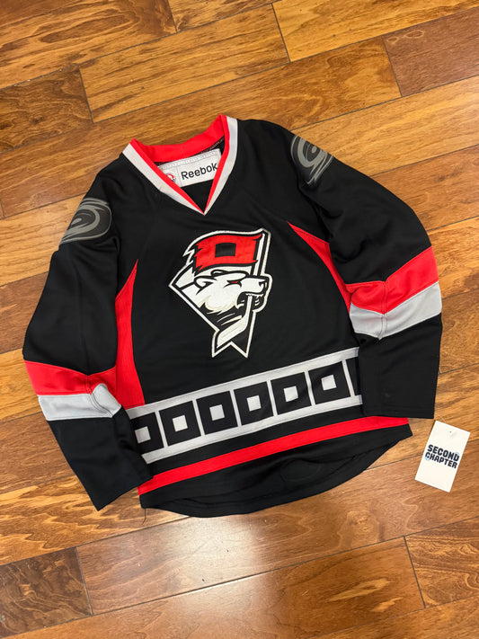00s Charlotte Checkers Vintage Youth Hockey Jersey (Youth S/M)