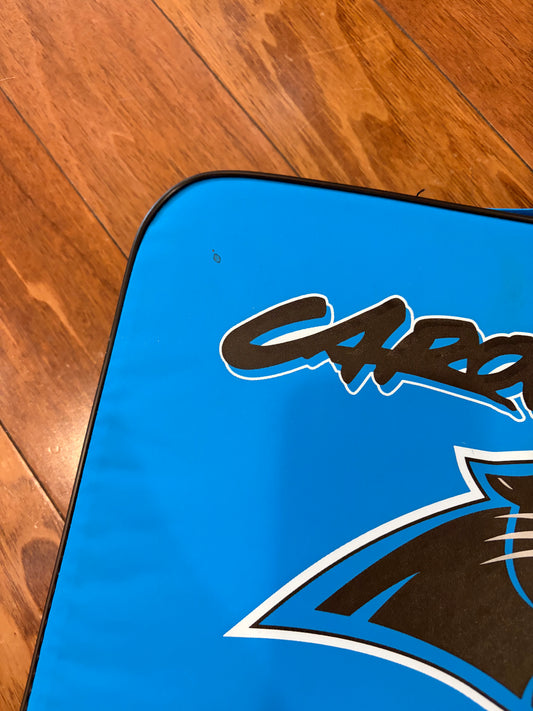 00s Carolina Panthers Stadium Seat Cushion (OS)