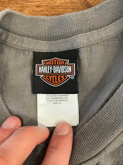 2010 Harley Davidson Charcoal Salisbury Tee (XL)