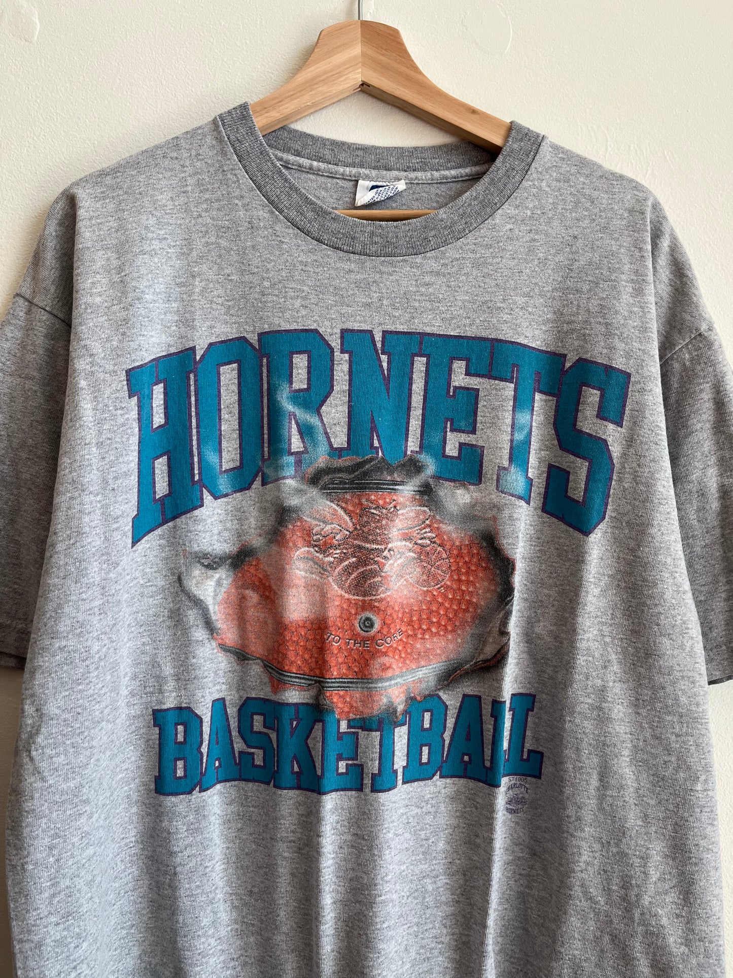 90s Charlotte Hornets NBA Starter Grey Tee (L)