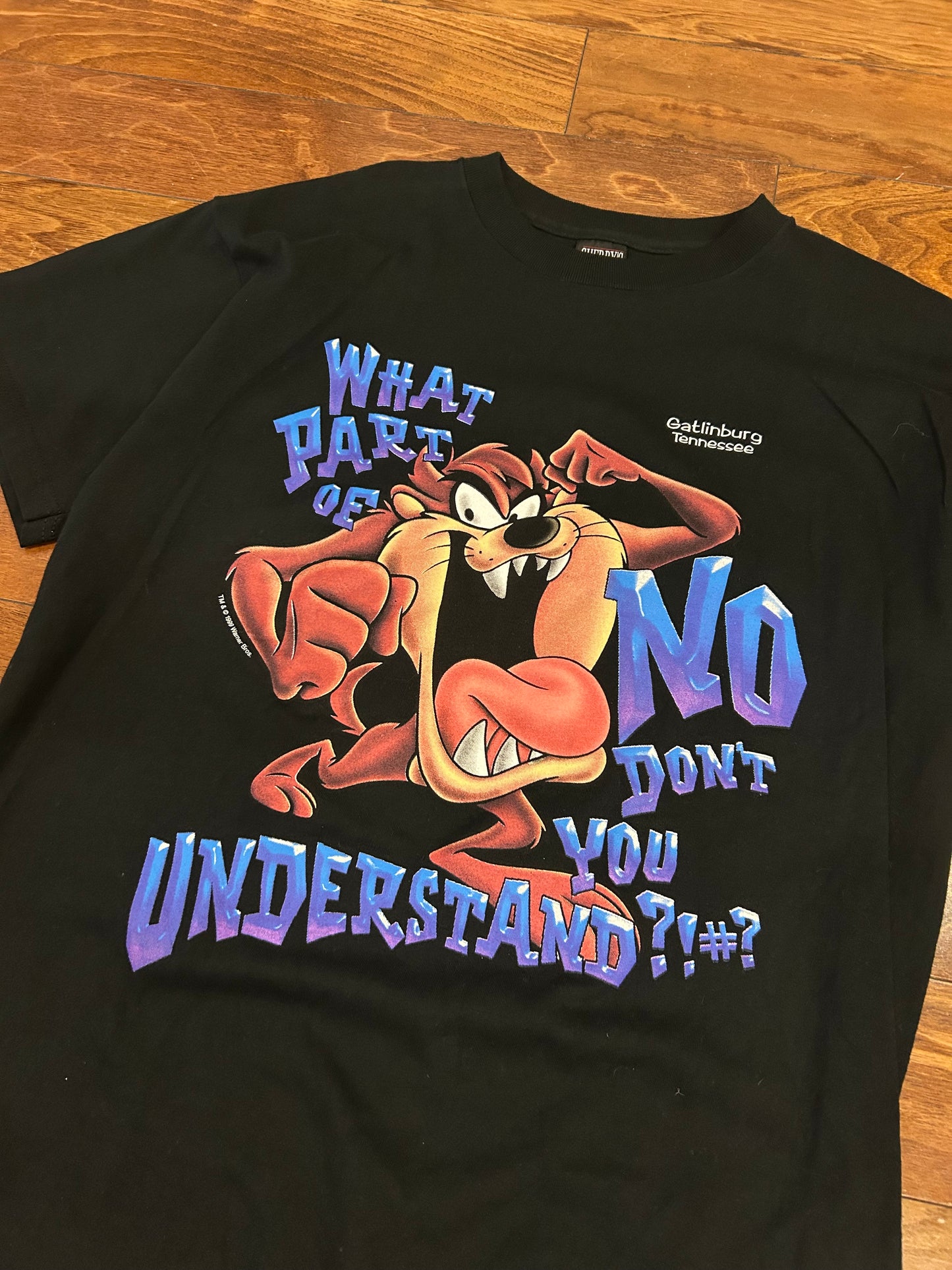 1999 Looney Tunes Taz Gatlinburg Cartoon Tee (L)