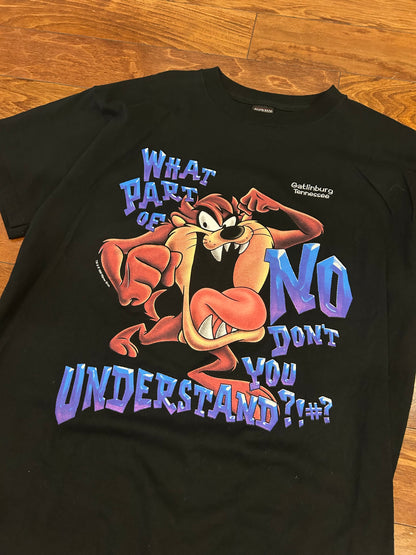 1999 Looney Tunes Taz Gatlinburg Cartoon Tee (L)