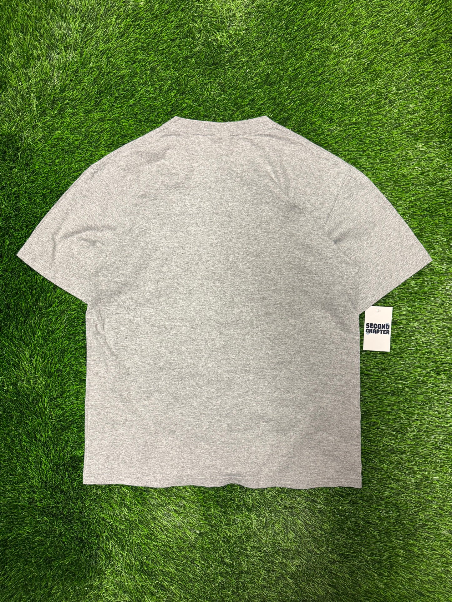 2007 Carolina Panthers Embroidered Gray Tee (L)