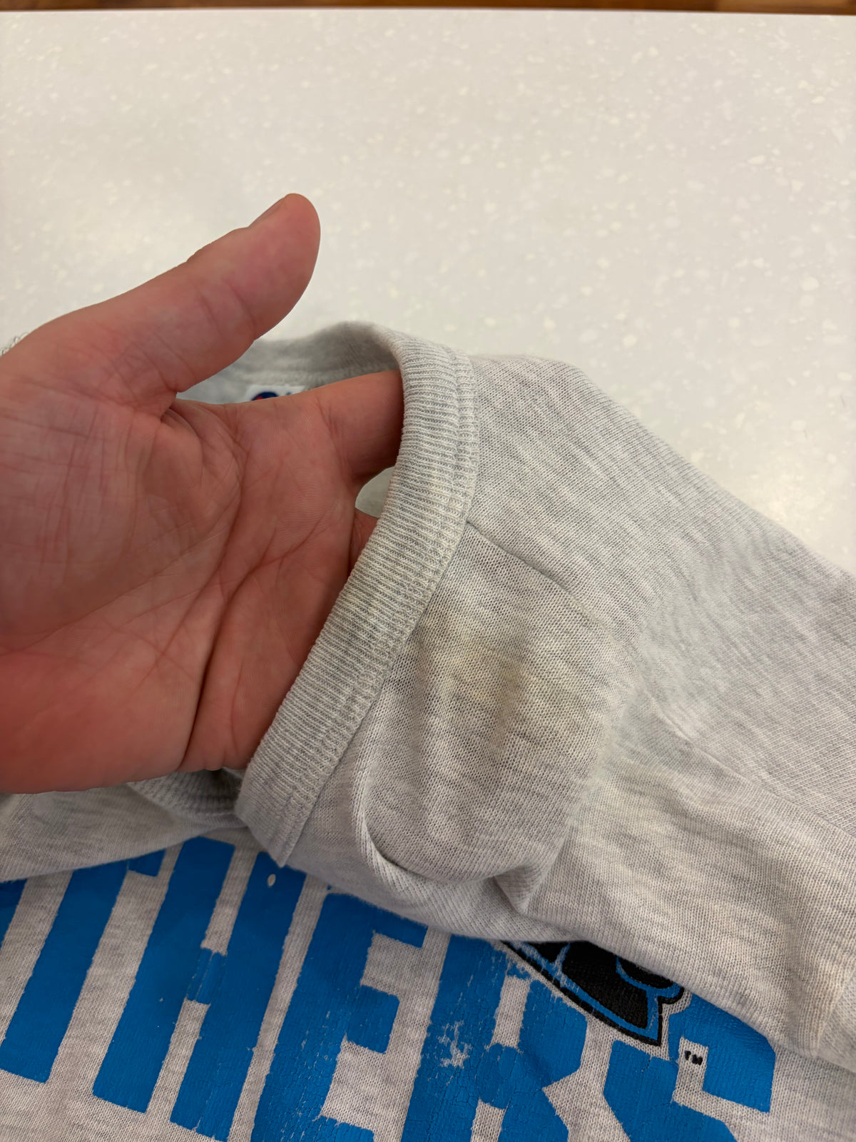 90s Carolina Panthers Champion XXL Tee (L)