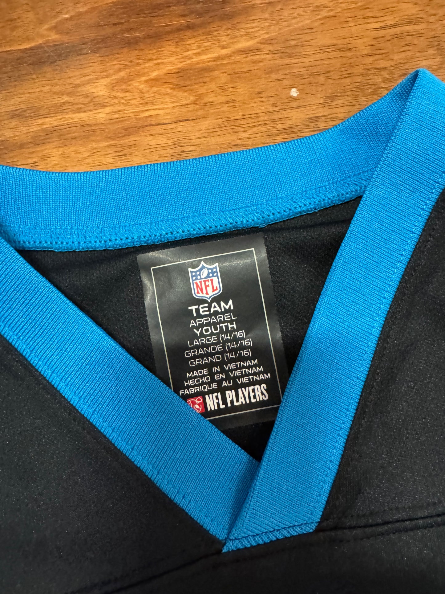 Carolina Panther Cam Newton NFL Team Youth Jersey  (Youth L)