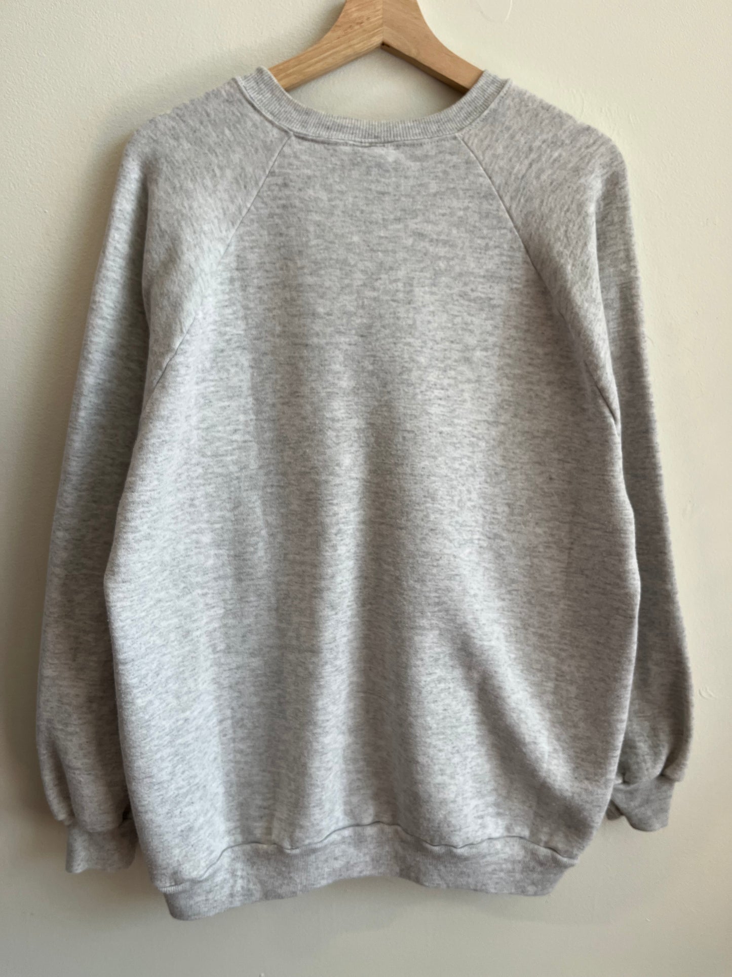 90s Appalachian State Jerzees Crewneck (XXL)