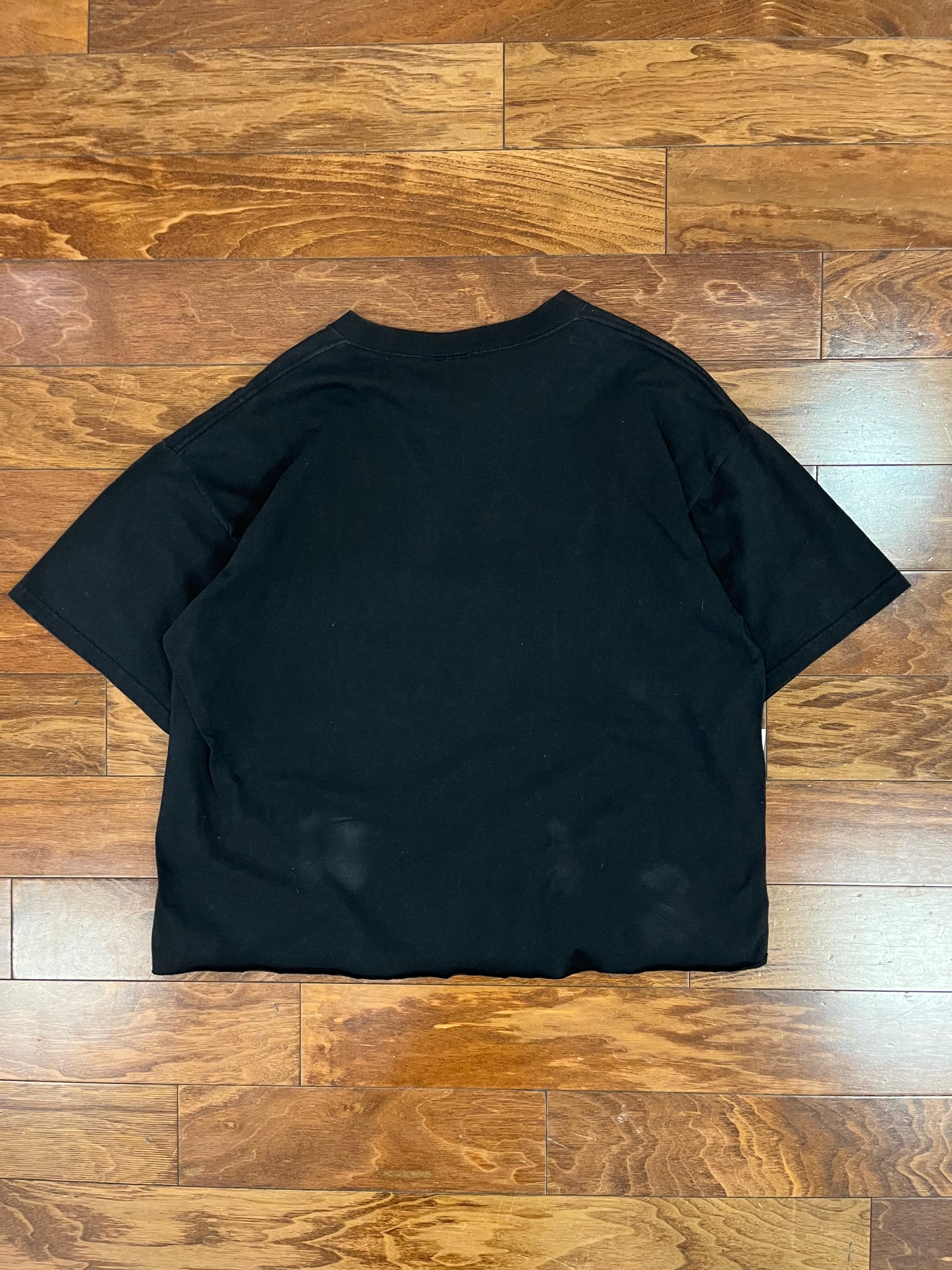 90s Carolina Panthers Cropped Helmet Tee (XL)