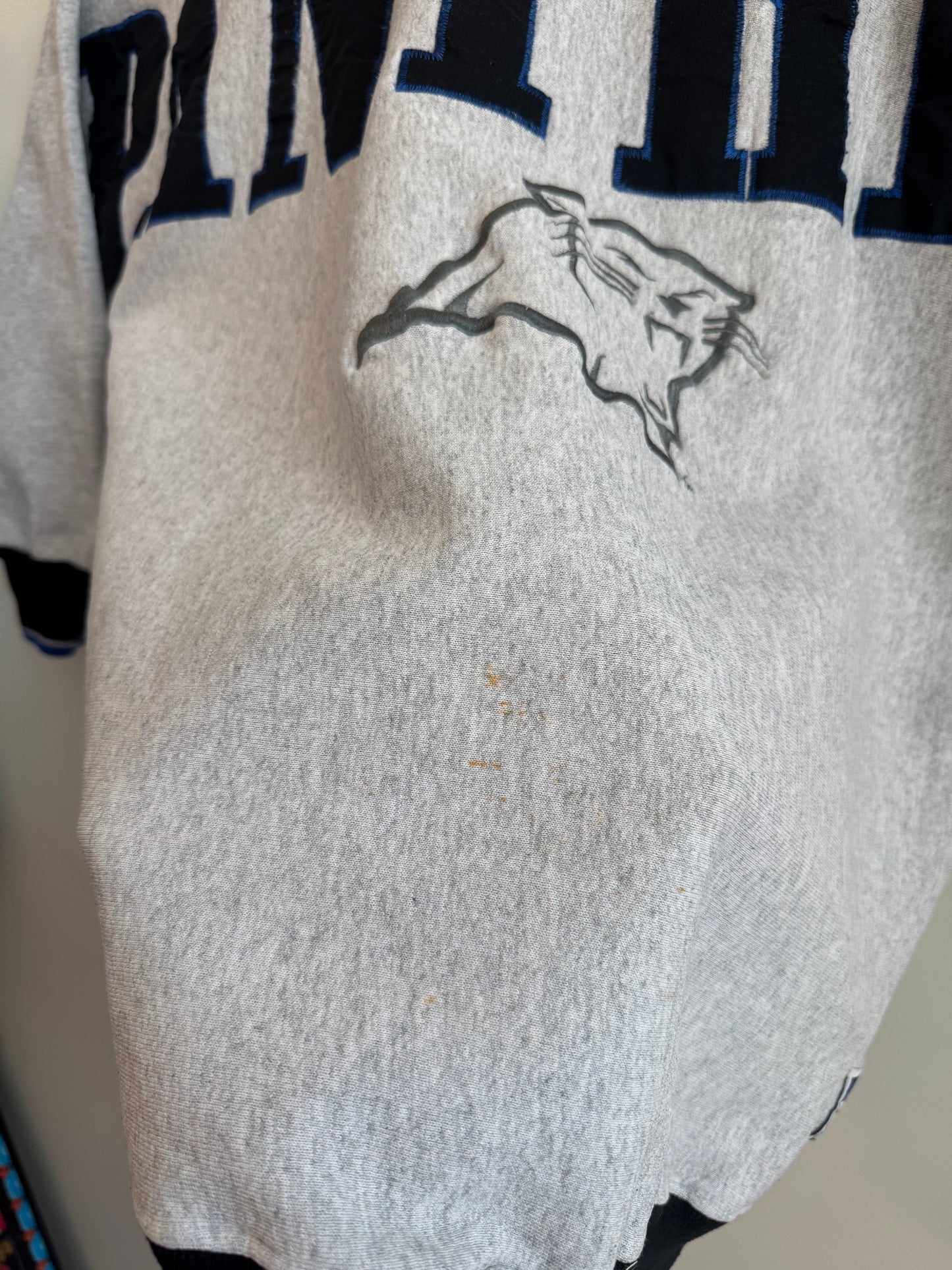 90s Carolina Panthers Legends Sleeve to Sleeve Spell Out Crewneck (XL)