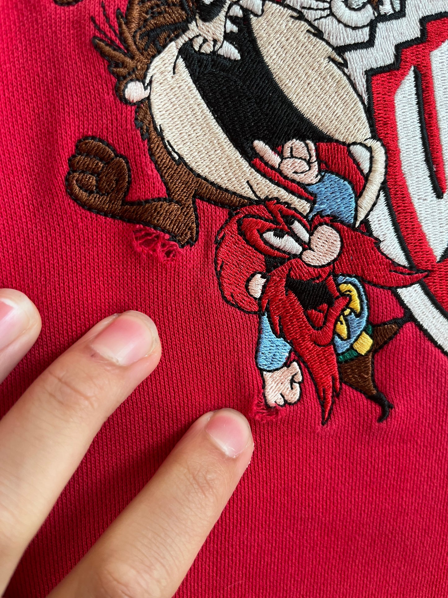 1990s Looney Tunes Warner Bros Crewneck (L)