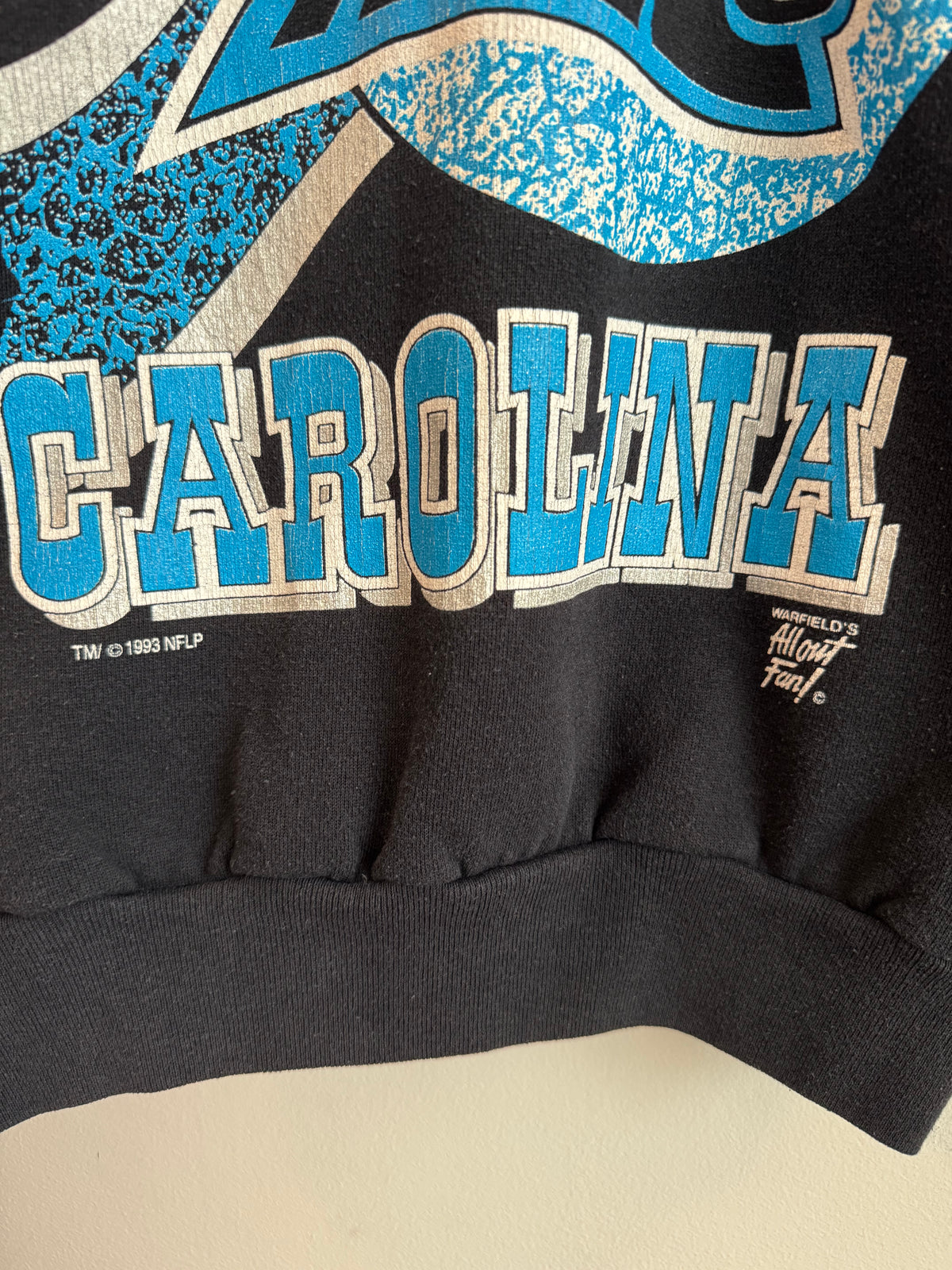 1993 Carolina Panthers Warfield's All Out Fan Crewneck (M)