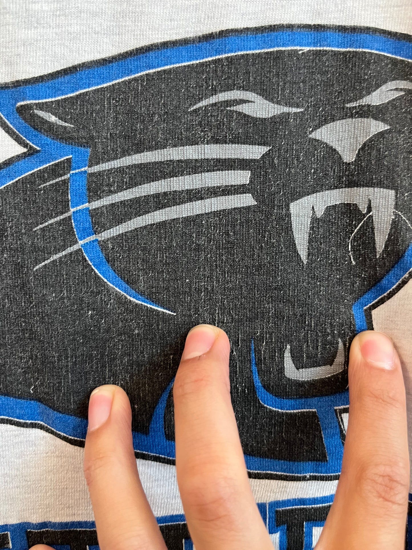 1993 Carolina Panthers Grey Spell Out Tee (L)