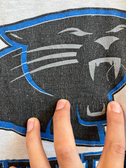 1993 Carolina Panthers Grey Spell Out Tee (L)