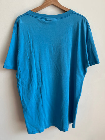 90s Carolina Panthers Embroidered Faded Tee (L)