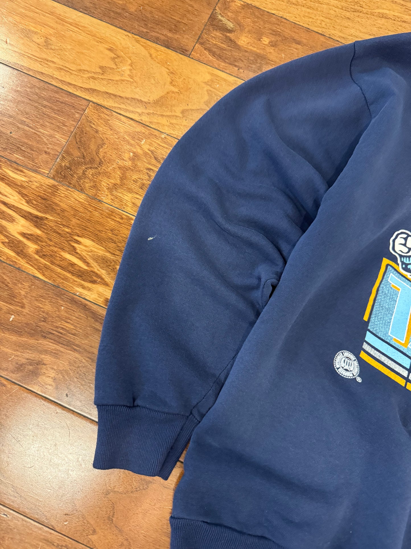 1994 University of North Carolina (UNC) Tar Heels Mascot Vintage Hoodie (XL)