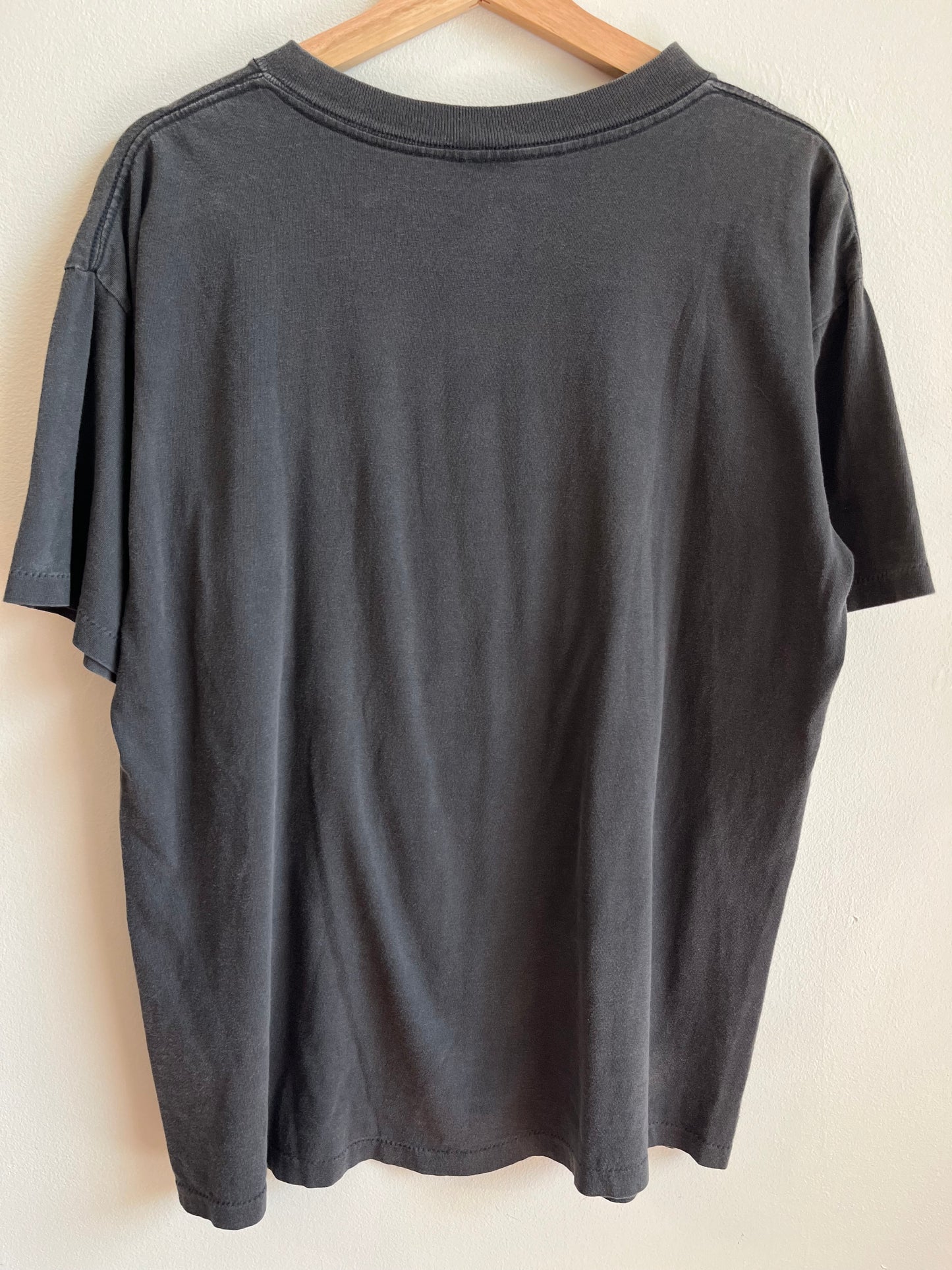 1993 Carolina Panthers Football Faded Tee (L)