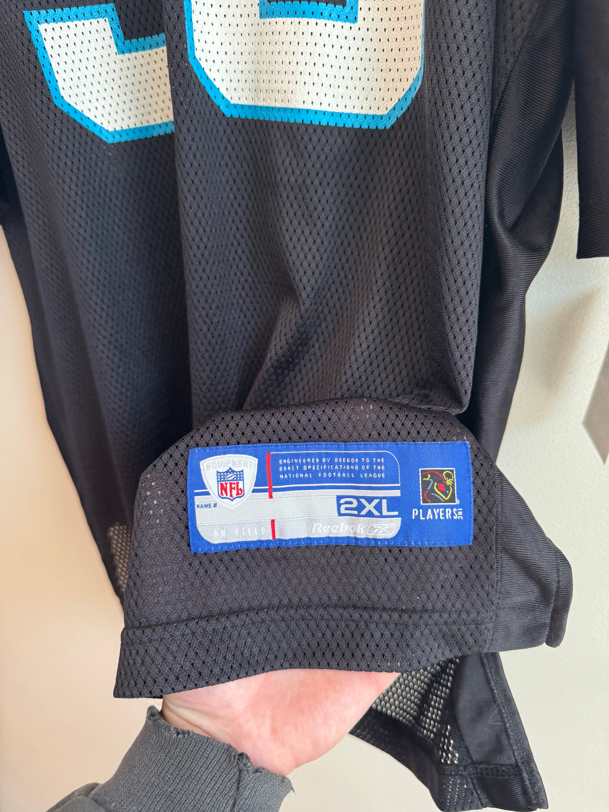 90s Carolina Panthers Julius Peppers Home Reebok Jersey (XXL)