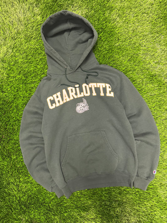 00s University Of North Carolina Charlotte (UNCC) Champion Vintage Hoodie (S)