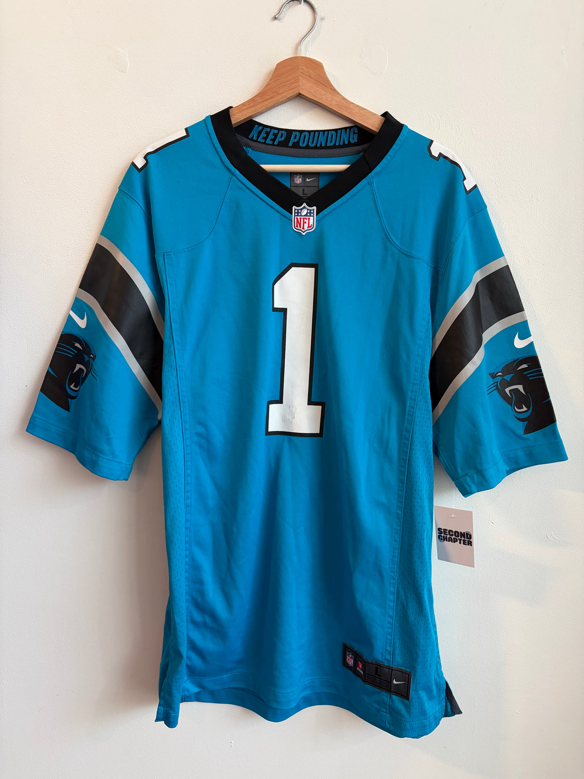 2010s Carolina Panthers Cam Newton Nike Blue Jersey (L)