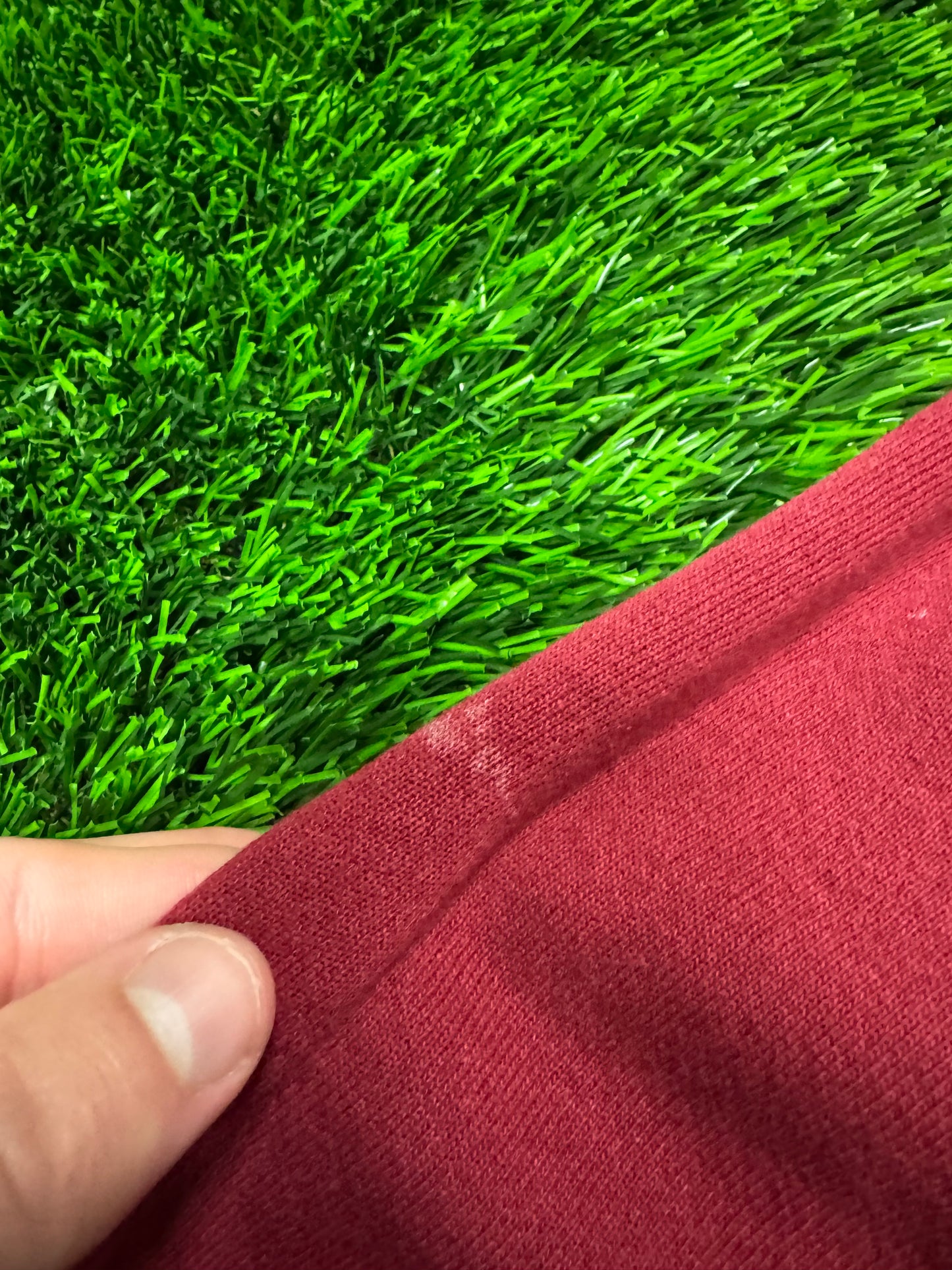 90s Mountain Lion Burgundy Vintage Nature Crewneck (L)