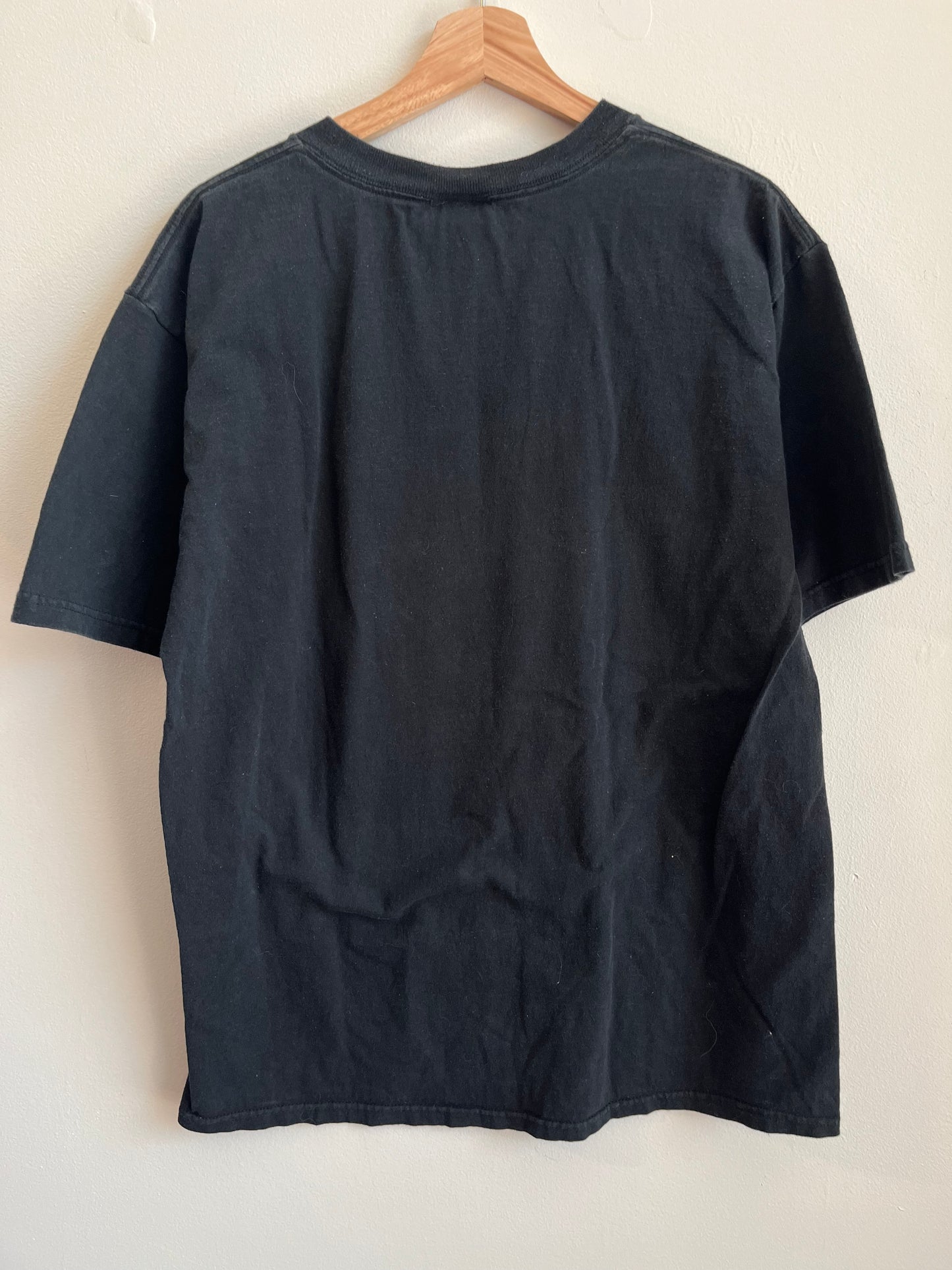 2003 Carolina Panthers Essential NFL Tee (M)