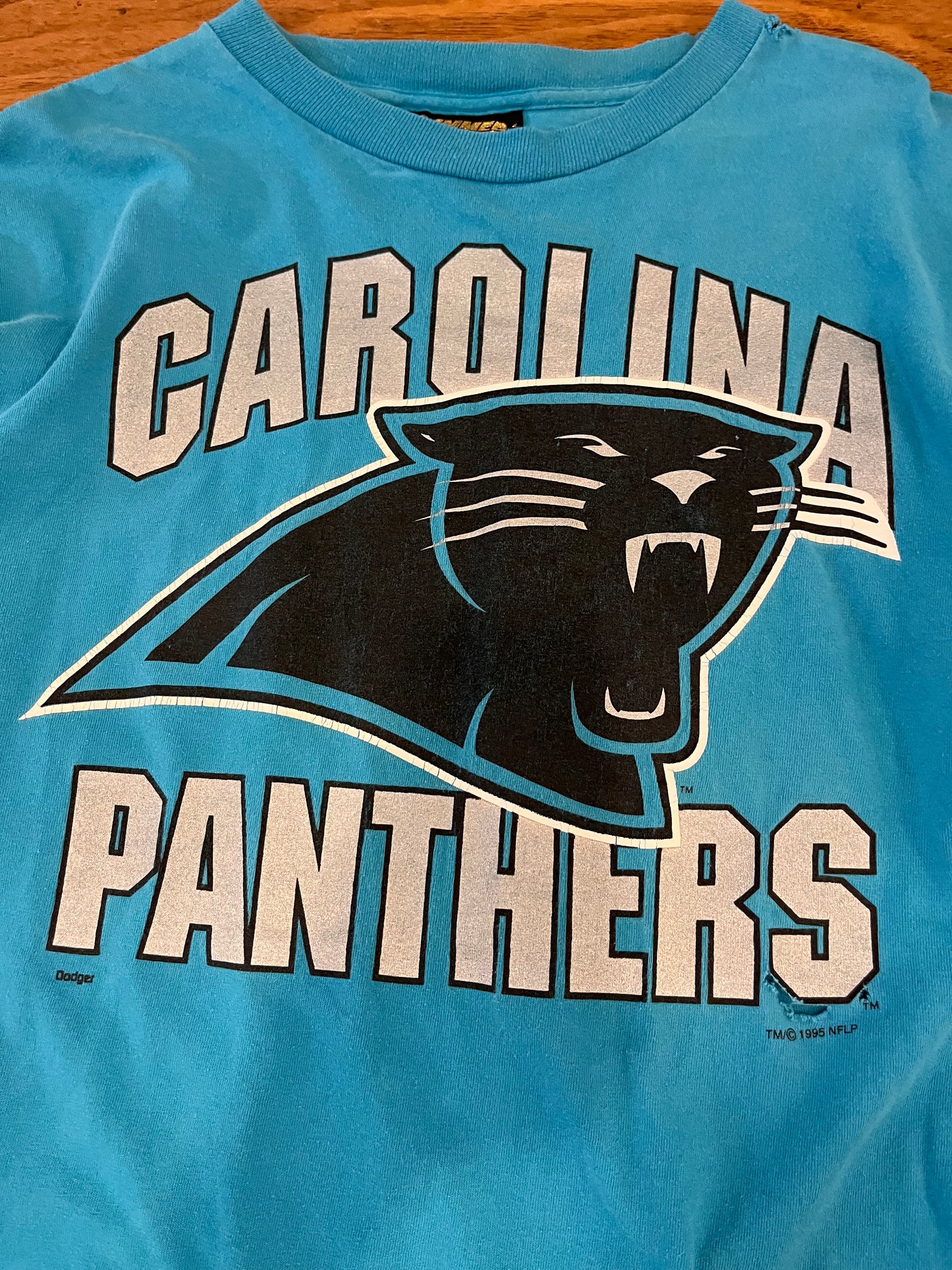 1995 Carolina Panthers Distressed Tee (XL)