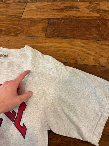 90s Chicago Bulls "No Bull 45 He's Back" Vintage Nutmeg Jordan Tee (L)