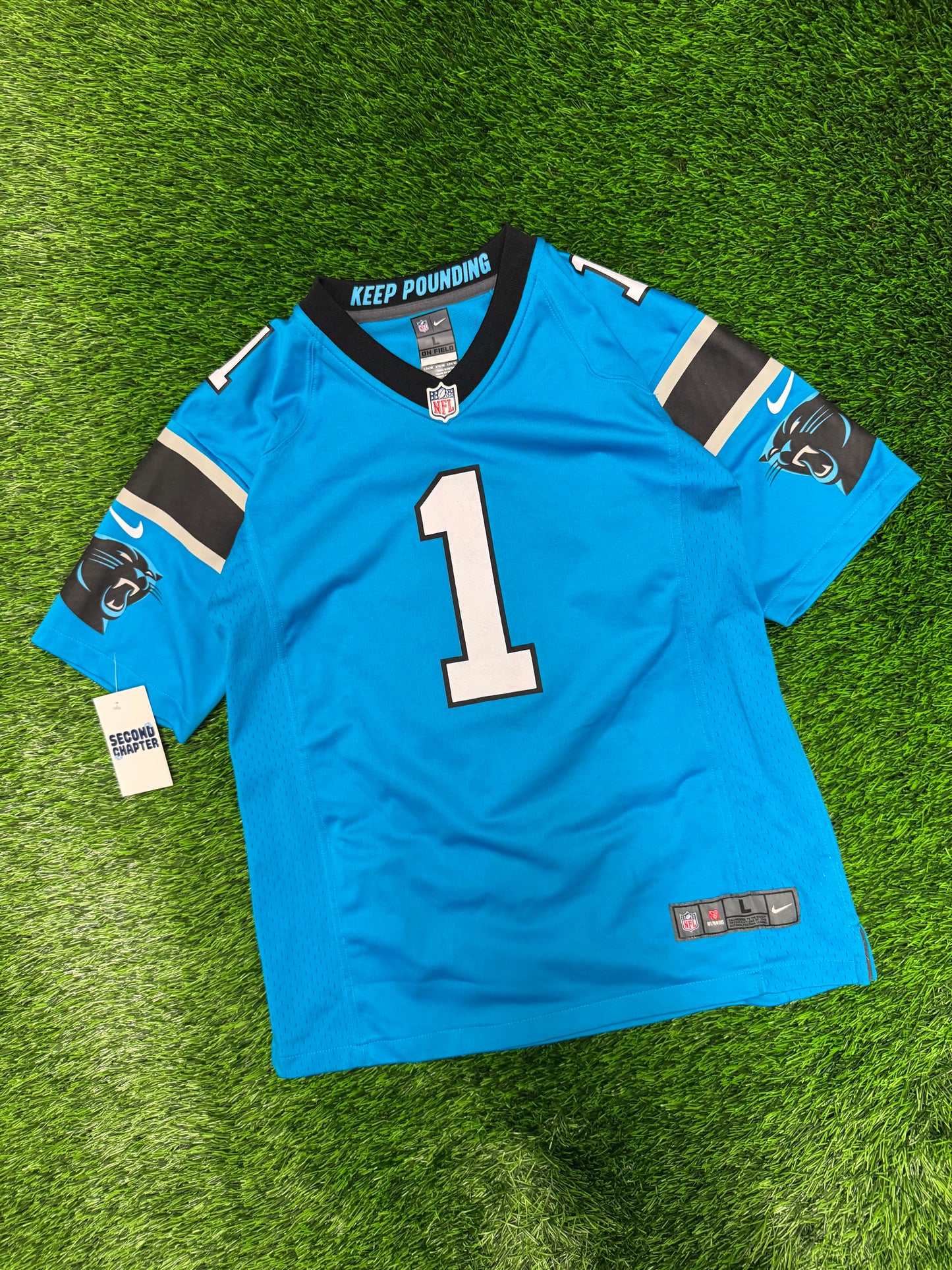 Carolina Panthers Cam Newton #1 Nike NFL Jersey (Youth L)