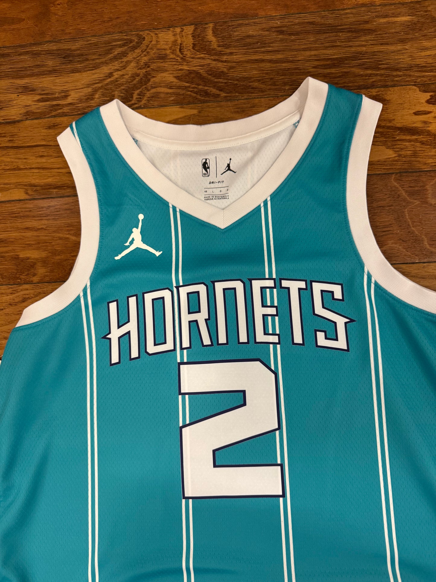 Charlotte Hornets LaMelo Ball Pinstripe Jersey (L)