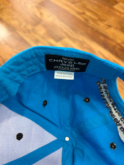 00s Carolina Panthers Cat Scratch Hat (OS)