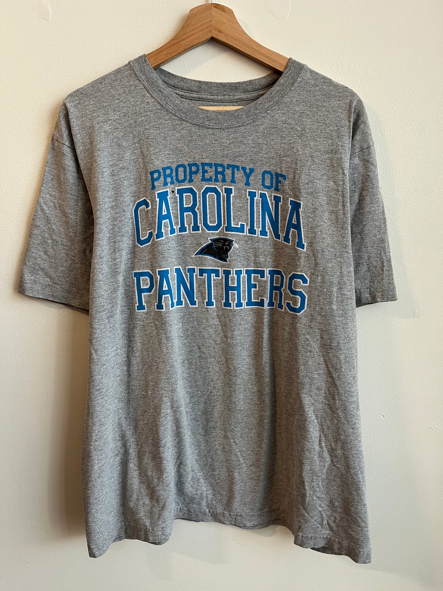 2010s Property of Carolina Panthers Tee (L)