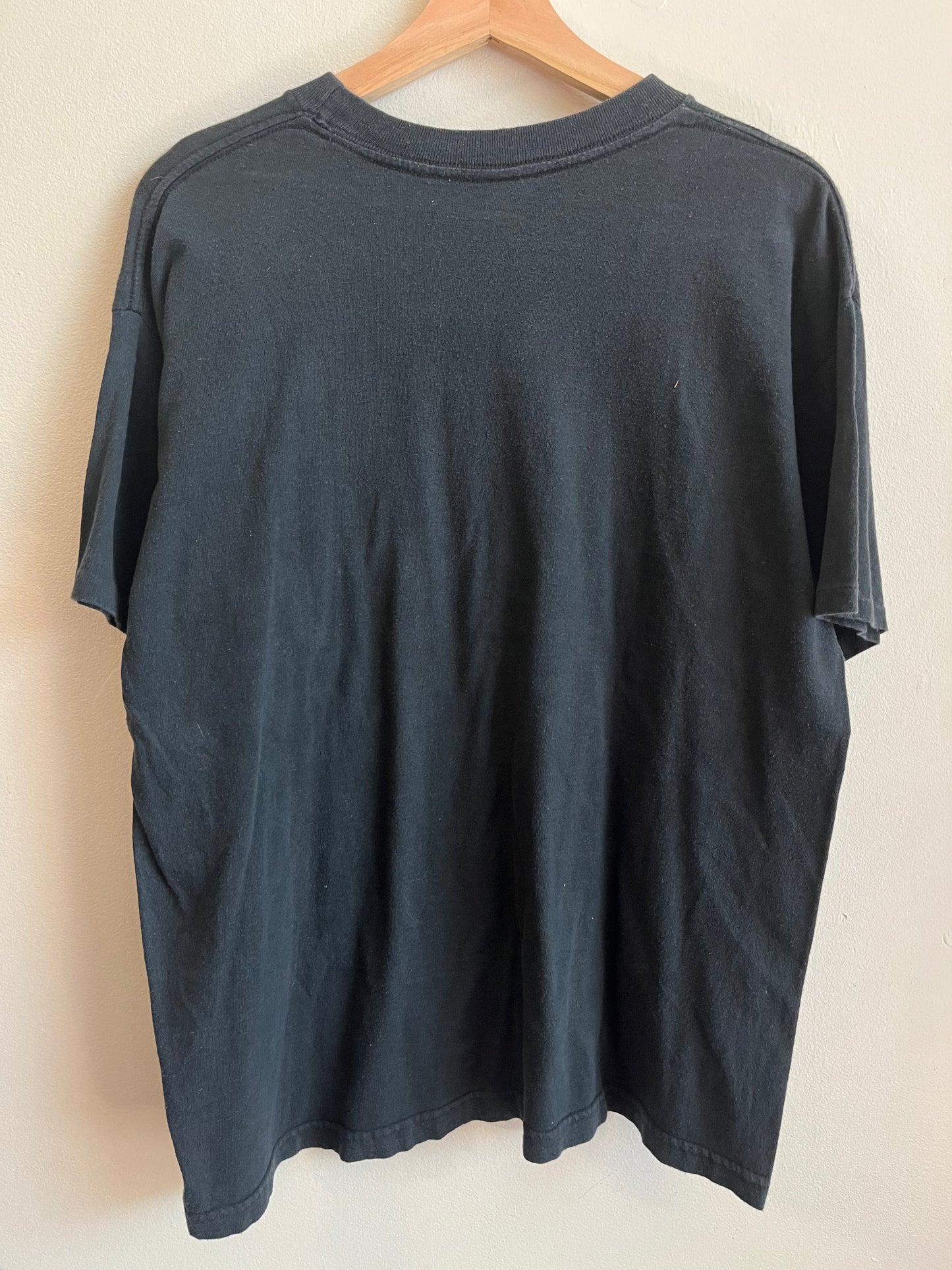 90s Carolina Panthers True Fan Faded Logo Tee (L)