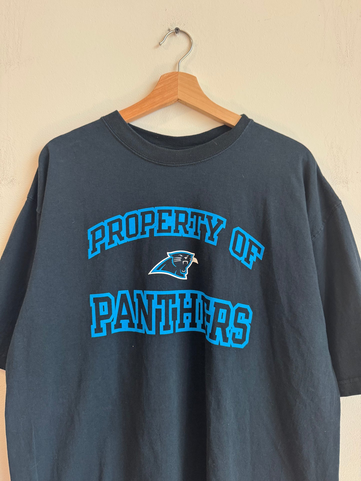 00s Property of Panthers Reebok Classic Tee (L)