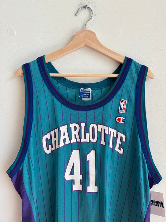 90s Charlotte Hornets Glen Rice Pinstripe NBA Champion Jersey (XL)