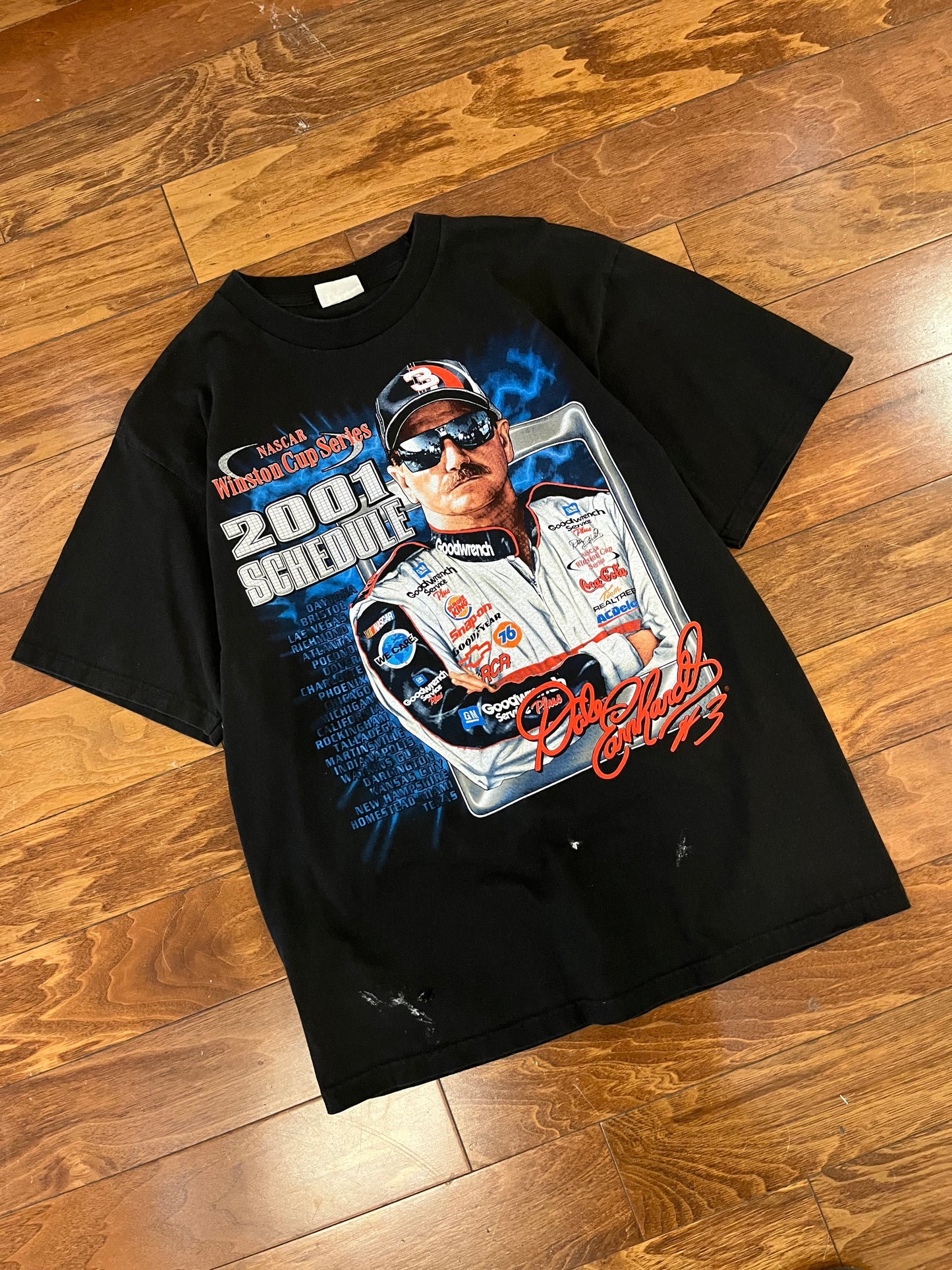 2001 Dale Earnhardt Winston Cup Paint Tee (L)