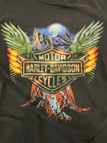 2008 Harley Davidson St Louis Gateway Tee (L)