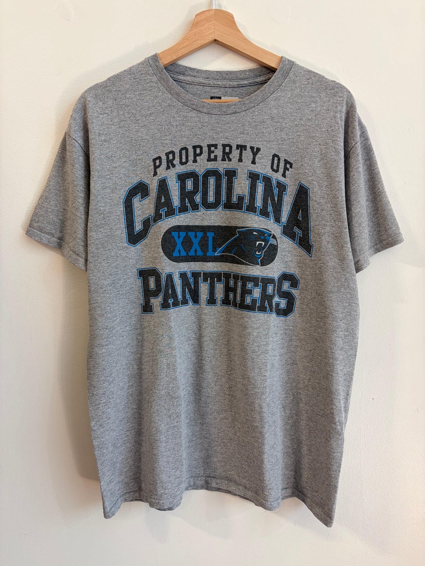 2010s Property of Panthers Tee (L)