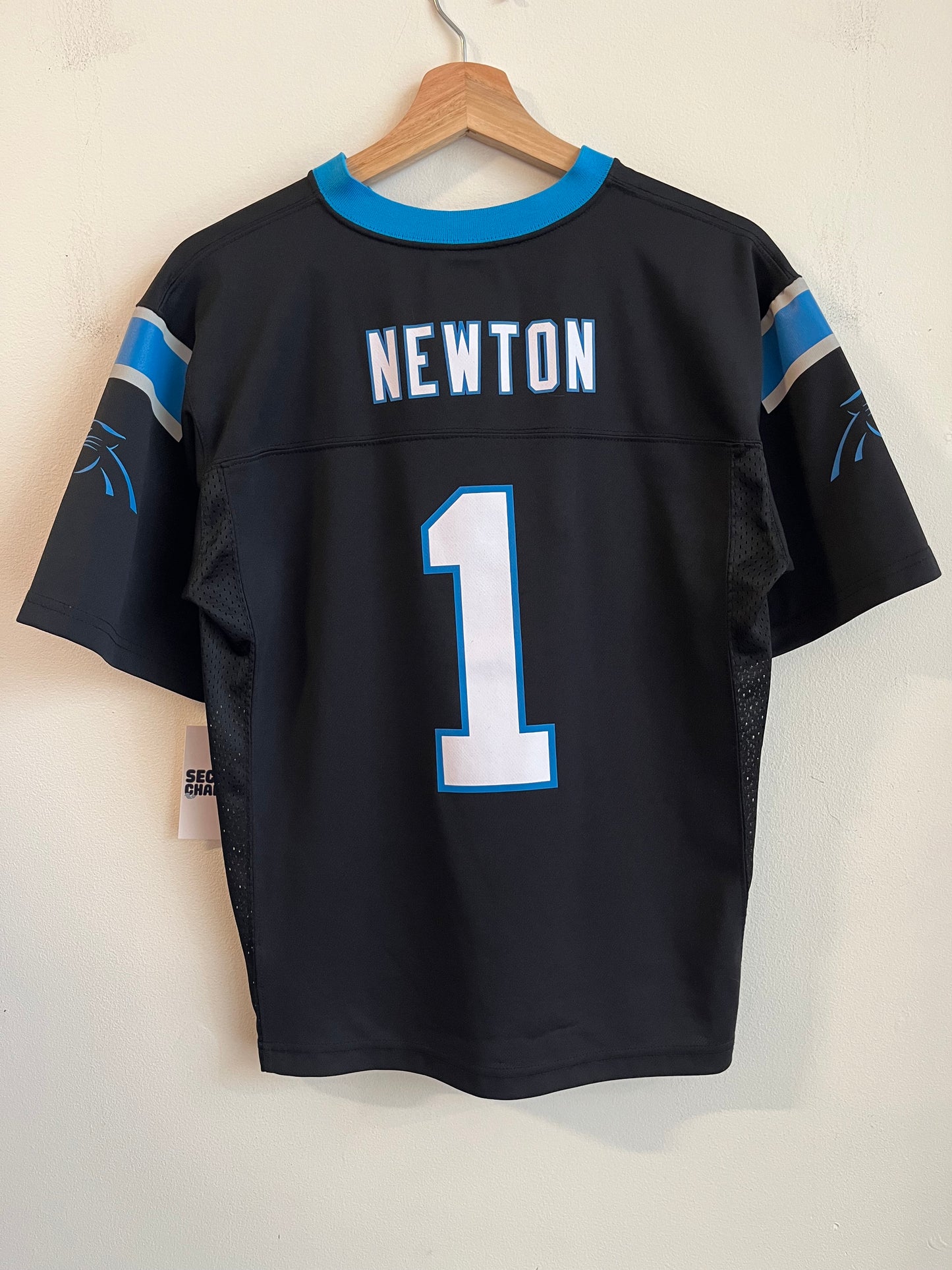 2010s Carolina Panthers Cam Newton NFL Players Jersey (Youth L)