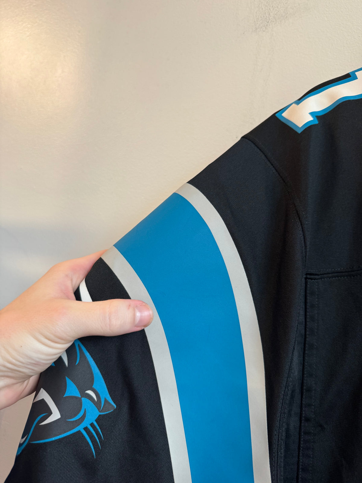 2010s Carolina Panthers Cam Newton Nike Home Jersey (XL)