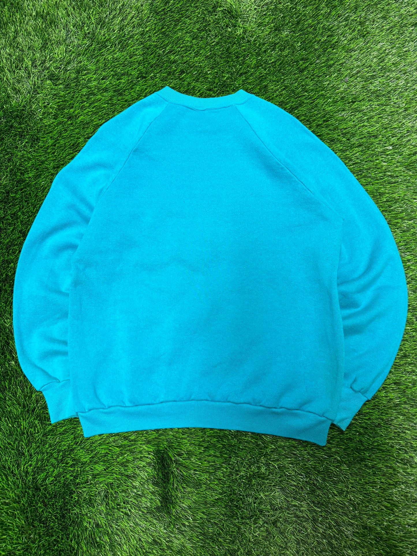 90s Charlotte Hornets Vintage Mascot Logo NBA Crewneck (L)