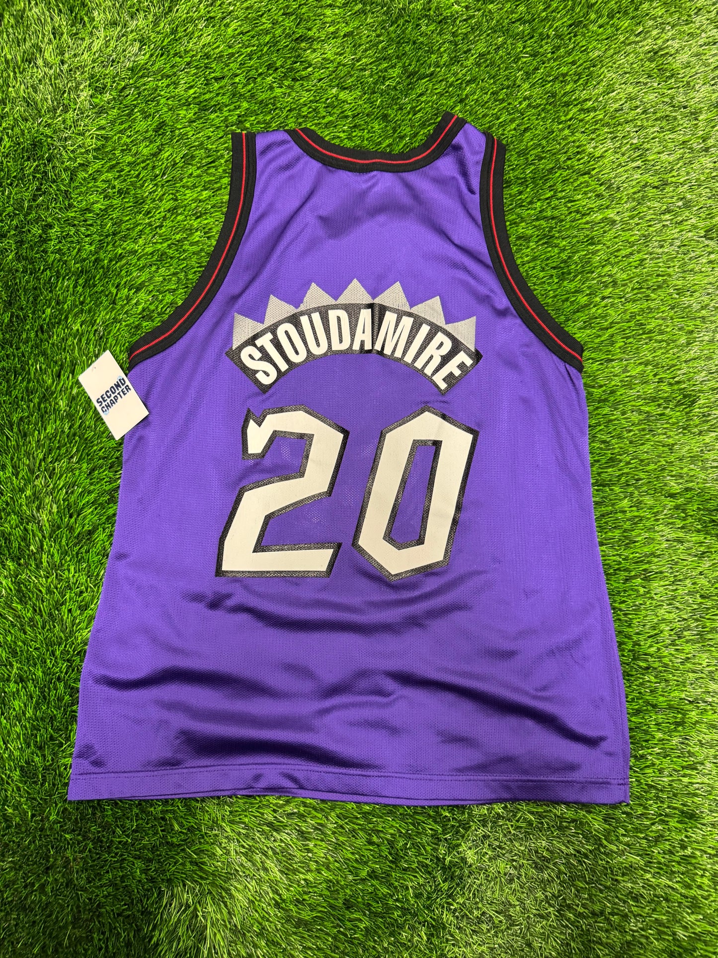 90s Toronto Raptors Vintage Damon Stoudamire Champion Purple Dinosaur NBA Jersey (L)