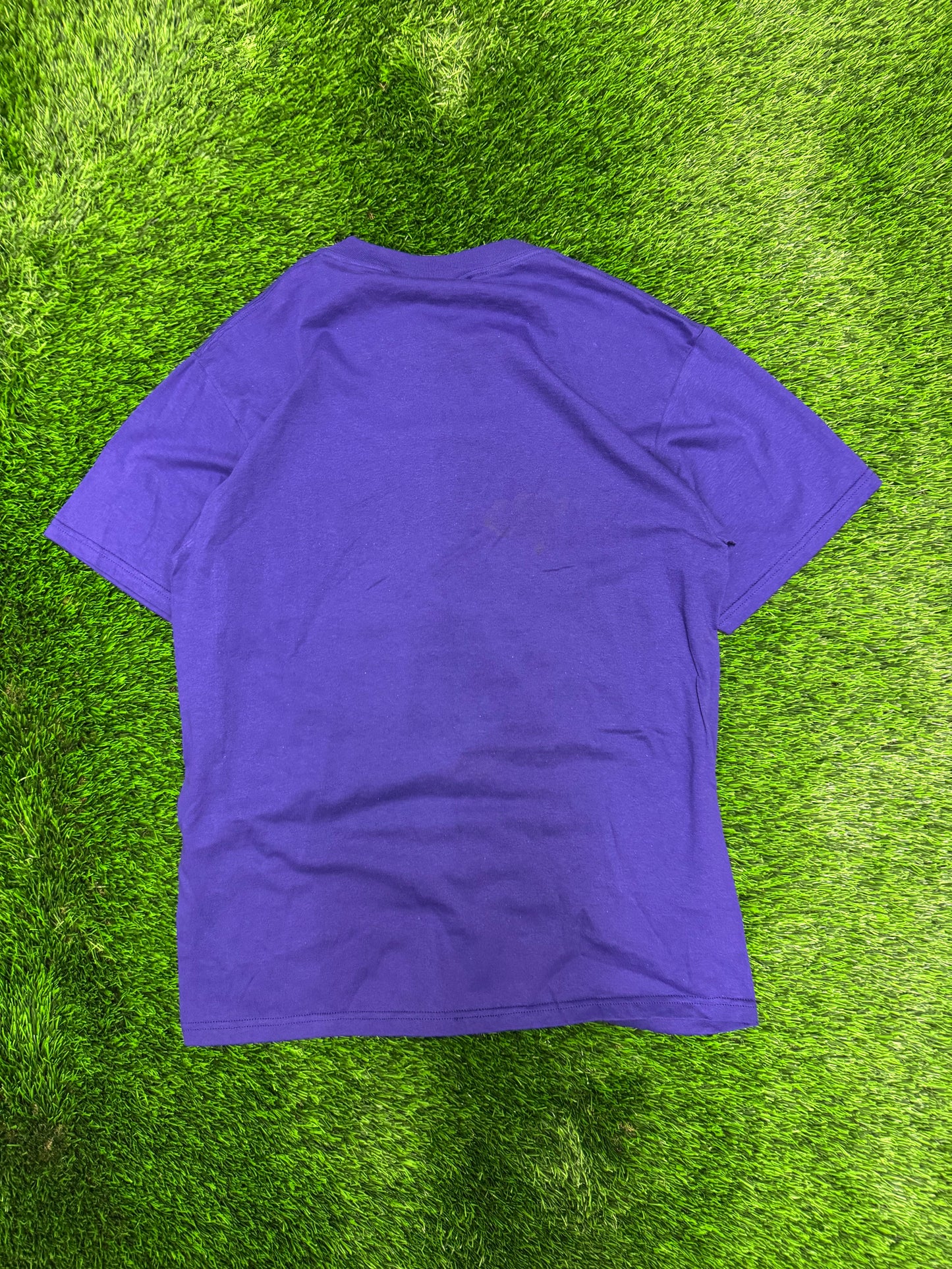 1995 Arizona Diamondbacks Purple MLB Tee (L)