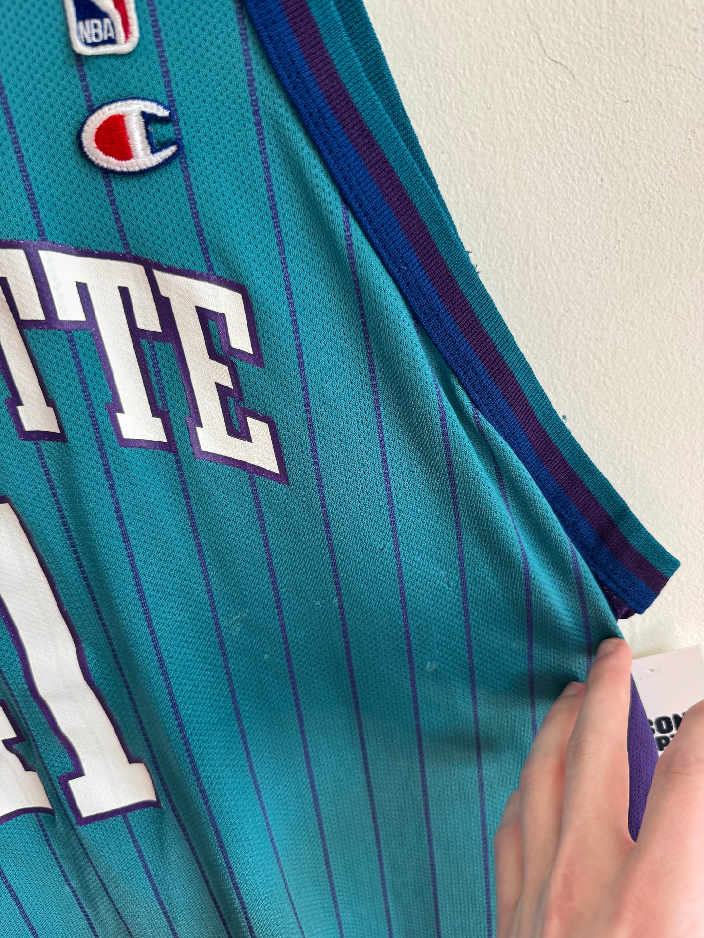90s Charlotte Hornets Glen Rice Pinstripe NBA Champion Jersey (XL)